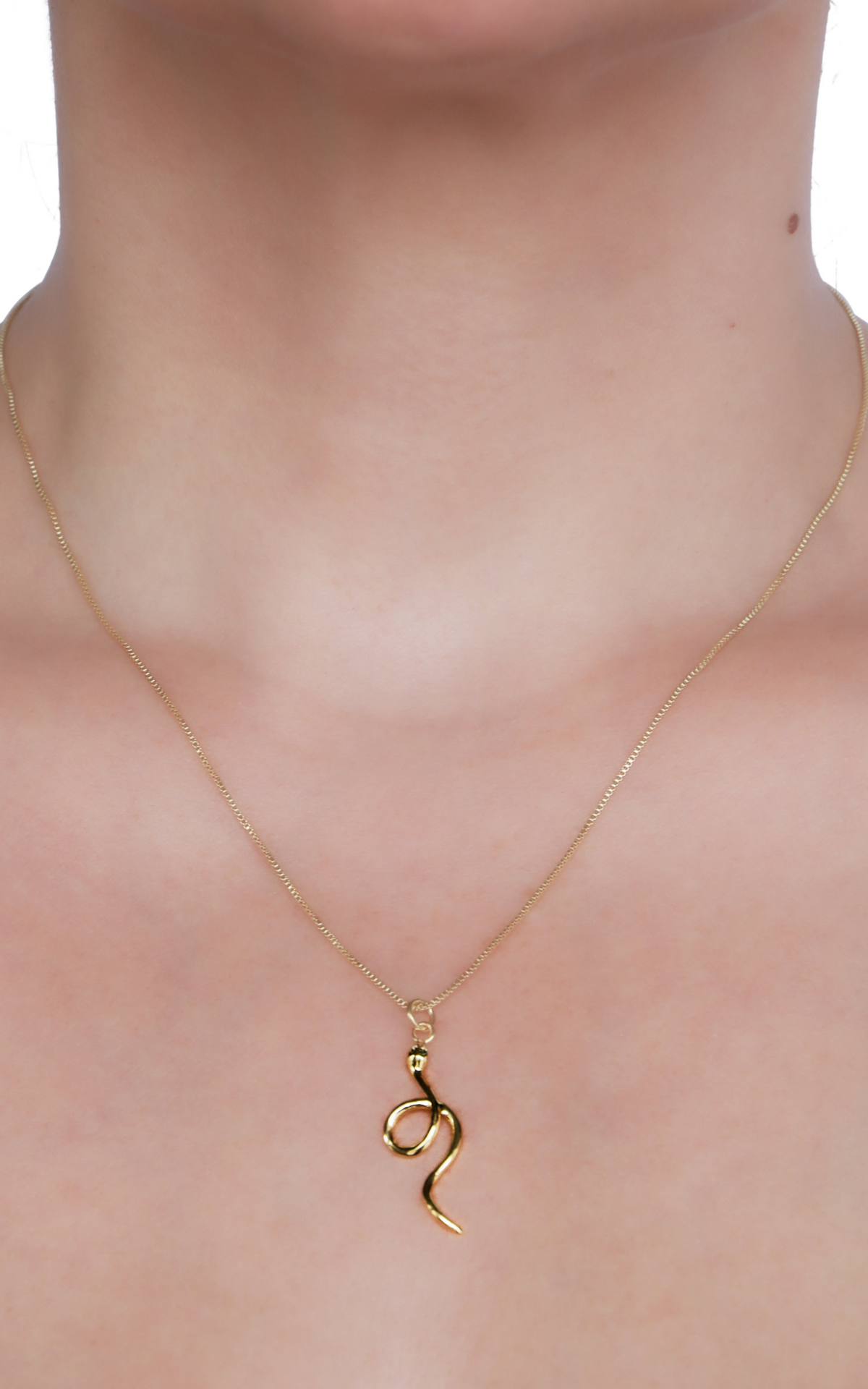 Swirling Serpentine Necklace